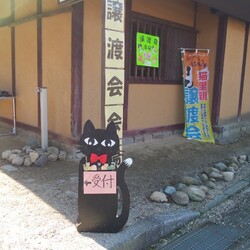 第１３回保護猫譲渡会in山口県 サムネイル2