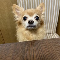 ニッキー