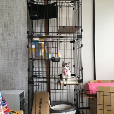 転居先で年末に3段ゲージを購入し、もふもふの小屋も設置。自分の場所と認識してくれて使ってくれてます。おりこうさん♪