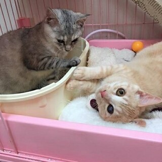 とても可愛い甘えん坊さん❣️