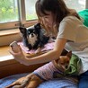 きゃぉ