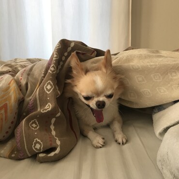 昨日、6歳になりました。