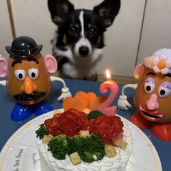 Happy 2nd Birthday!!