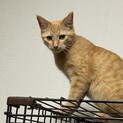 生後約半年　いちた君