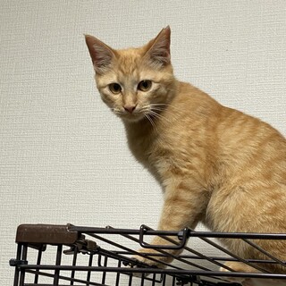 生後約半年　いちた君
