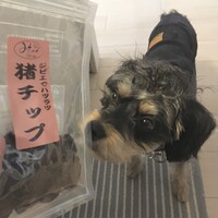 じん