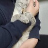 大好き‼︎話さないで‼︎ってハグしてくる