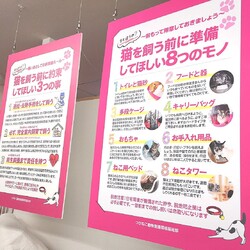 縁起のいい～♪良縁成就★みんなの譲渡会 サムネイル3