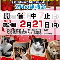 **開催中止**　猫の譲渡会　in　名古屋市瑞穂区生涯学習センター