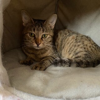 小柄で可愛らしい☆モモちゃん