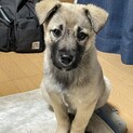優しいお顔のジャム君