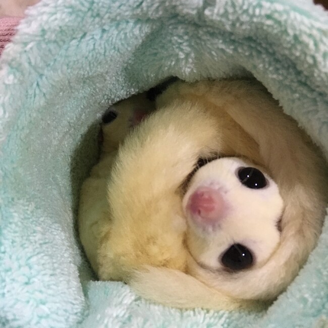うまみんのカバー写真