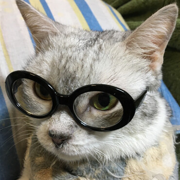 の写真