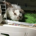 一時停止してます。