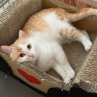 [トライアル決定！]甘えん坊の陽菜ちゃん