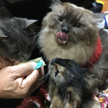 の写真
