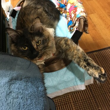 の写真