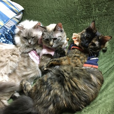 の写真