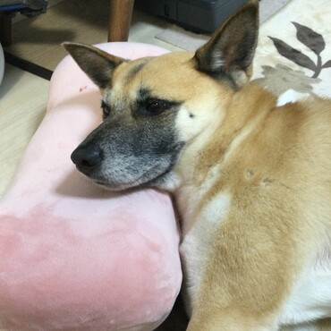 の写真