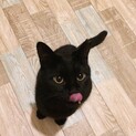 オモチャ大好き！明るく元気なキーラちゃん