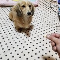 募集を1度停止させていただきます。