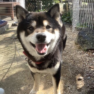 誰にでもフレンドリーなユズ君