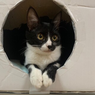 ちょっと怖がりだけど　とっても寂しがりちゃん