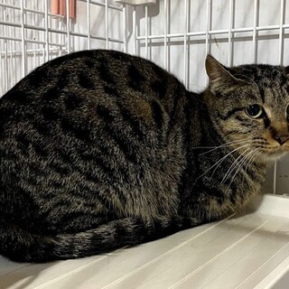 汚くて暗い倉庫に帰りたくないよ‥