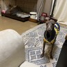  さん