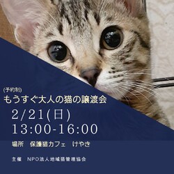 もうすぐ大人の猫譲渡会in 保護猫カフェ　けやき