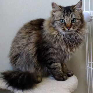 大人しくて目の綺麗なルイくん♪