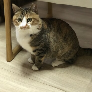 前足の短い靴下かわいいです^ ^