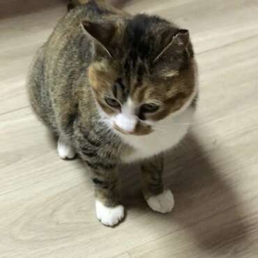 の写真