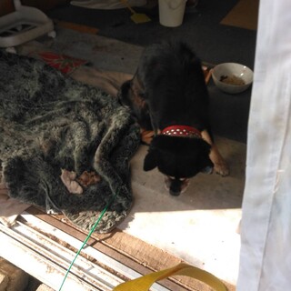 お婆ちゃんの心残り