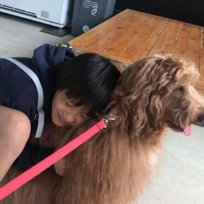 kaikalのカバー写真