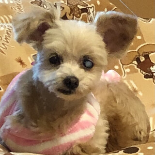 幸せになりました⭐︎ありがとうございました。