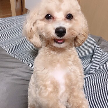 の写真