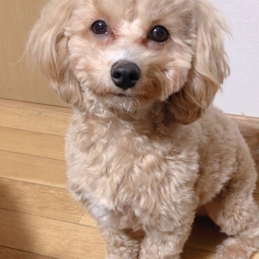 の写真