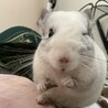 みづ菌