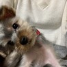 なぁに？