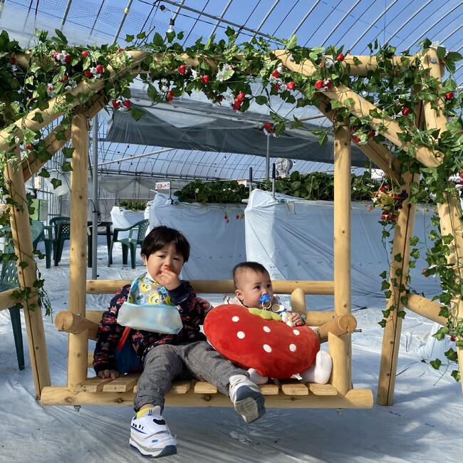 lv7のカバー写真