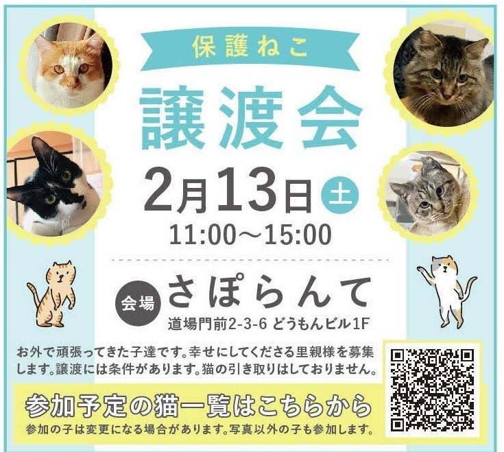 保護ねこ譲渡会inさぽらんて リックンのイベント ペットのおうち 月間利用者150万人 保護ねこ譲渡会inさぽらんて リックンのイベント ペットのおうち 月間利用者150万人