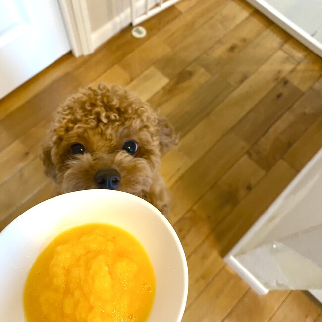 のんのんるんるんちゃちゃのカバー写真