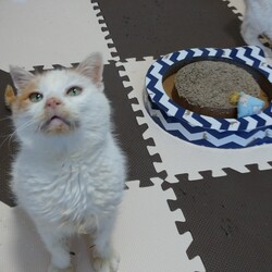 「命」サムネイル3