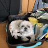 のん0707