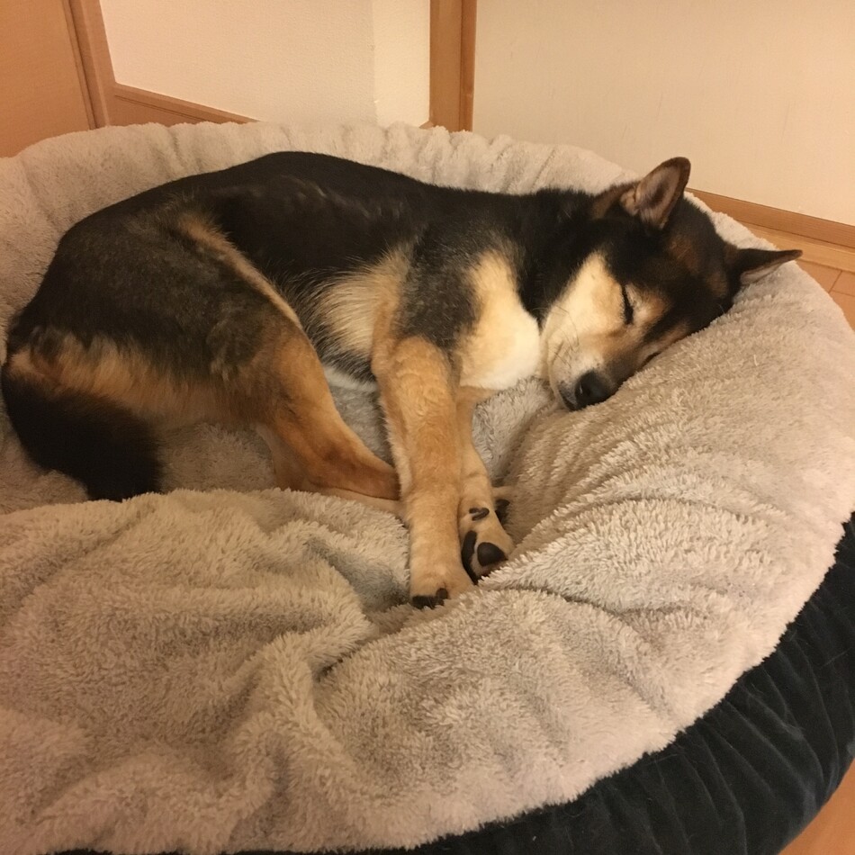 太郎さんのカバー写真