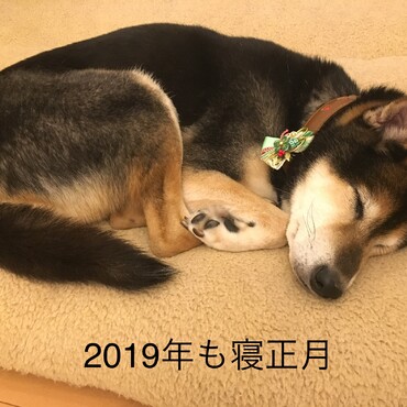 の写真