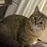  さん