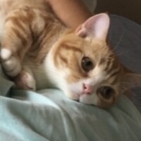 ぼたん（通称ふぐみ）