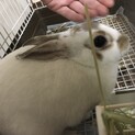 ご応募ありがとうございました